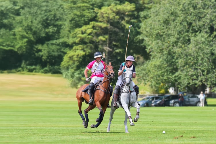 The Viking Cup polo tournament takes place this weekend