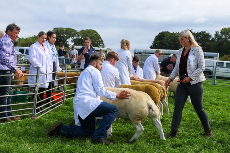 The local livestock on display