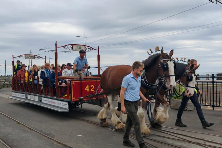 A Twin Horse Toastrack pulled by two of the trammers (Photo -  Douglas Bay Horse Tramway Online)