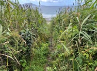 Footpaths are a 'national asset that are being criminally neglected' 