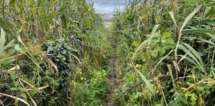 Footpaths are a 'national asset that are being criminally neglected' 