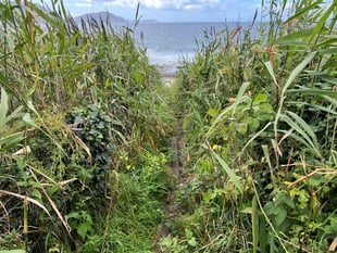 Impassable section of coastal footpath is set to be restored