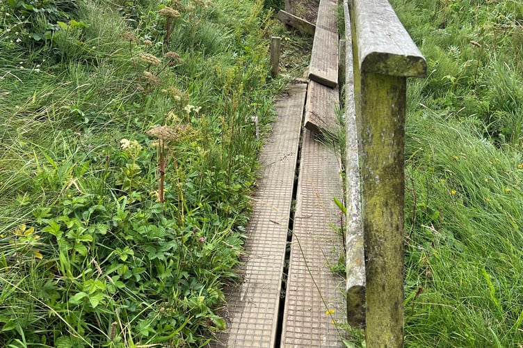 This collapsed boardwalk is tricky to negotiate