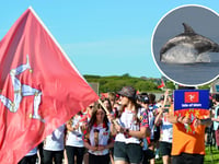 Calls for Isle of Man to boycott Island Games over whale hunts