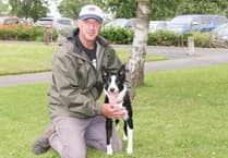 Isle of Man handlers feature in top-performing UK sheepdog sale