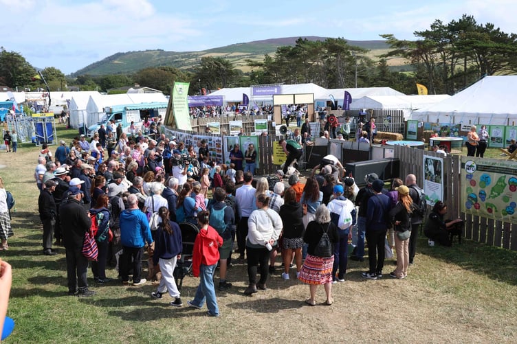 Crowds flock to watch a sheep shearing demonstration