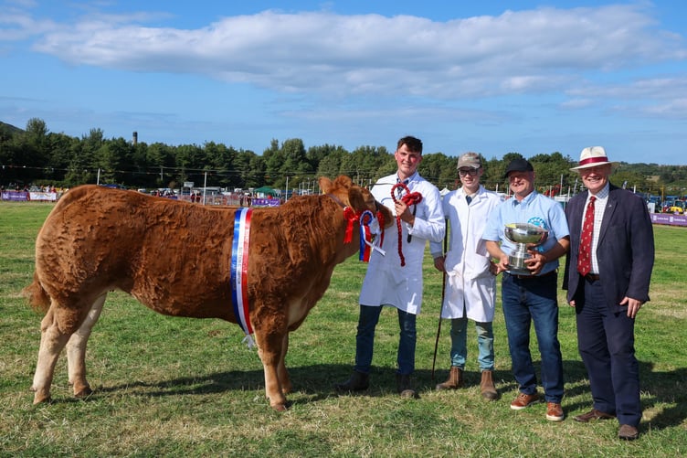 This year's Supreme Champions was Tom and Lee Cain’s 'Foxrock Ubeauty'