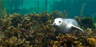 Protect Nature, Inspire Communities: Join Manx Wildlife Trust