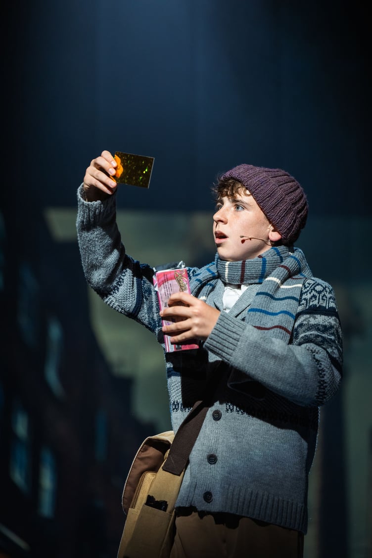 Thomas McAleer as Charlie Bucket
