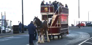 Douglas Bay horse trams won’t reach Sea Terminal for 150th anniversary