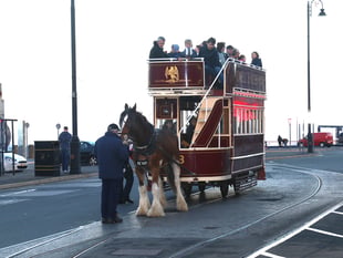 Horse tramway extension moves step closer