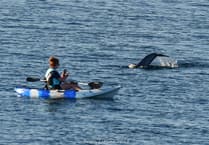 New Isle of Man guide on how to act around marine life has been launched