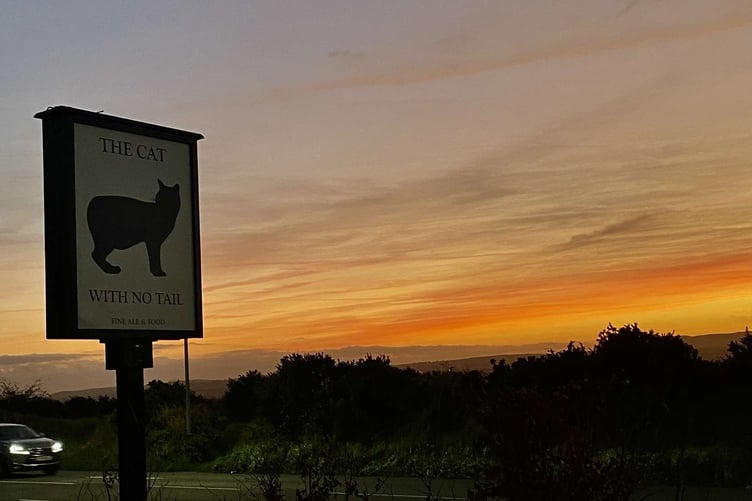 Sunset at the Cat With No Tail, Douglas