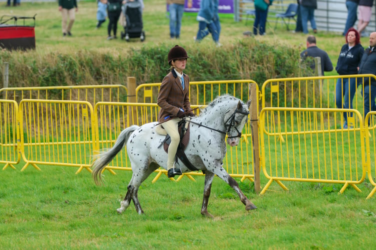 The two days included classic car parades, sheep shearing demonstrations, equine stunt shows, lumberjack shows, dance displays and the ‘Miss Young Farmer’ competition.