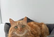 The controversial zoo which turns pets into food - some say its 'peverse'