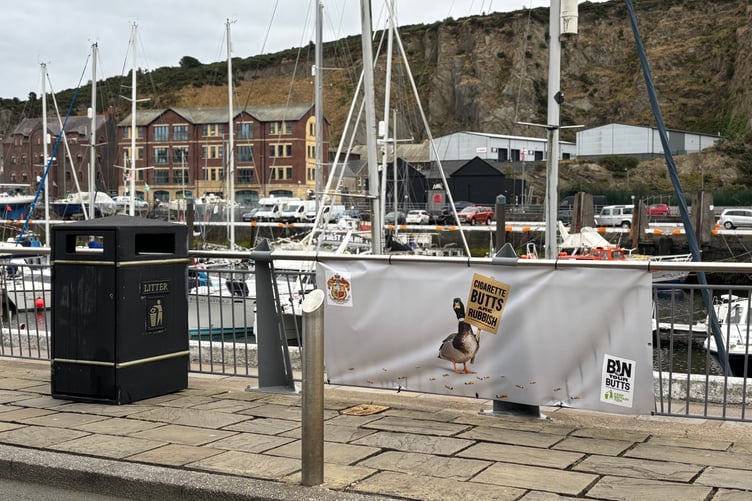 One of the banners erected in Douglas' North Quay as part of the city council's campaign in conjunction with Keep Britain Tidy