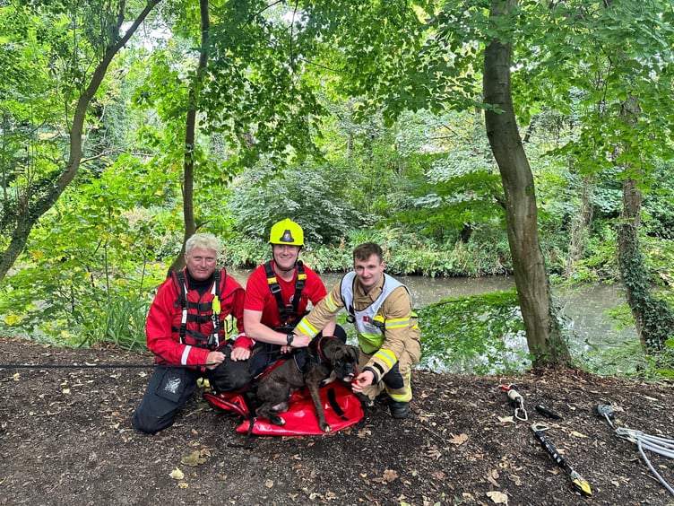 Rescuers with Reggie