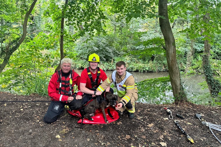 Rescuers with Reggie