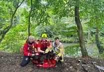 Fire crews rescue dog from river embankment