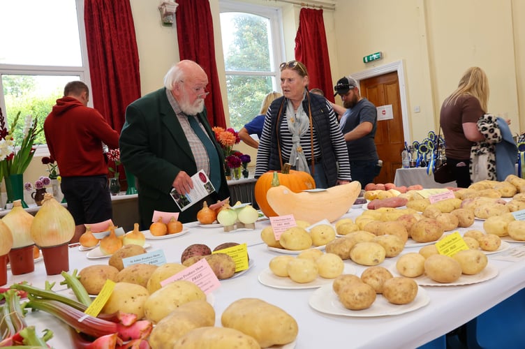 Plenty of spuds!