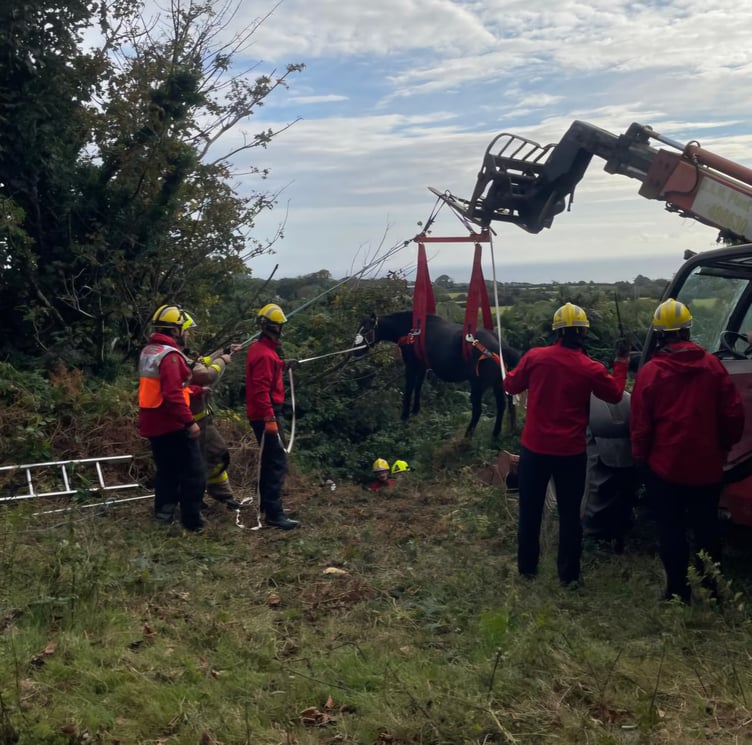 Isle of Man Fire and Rescue crews rescuing a pony on Tuesday morning
