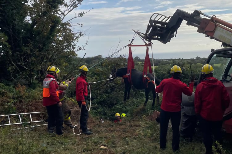 Isle of Man Fire and Rescue crews rescuing a pony on Tuesday morning