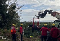 ‘Great team effort all round’ as stuck pony craned from deep ditch
