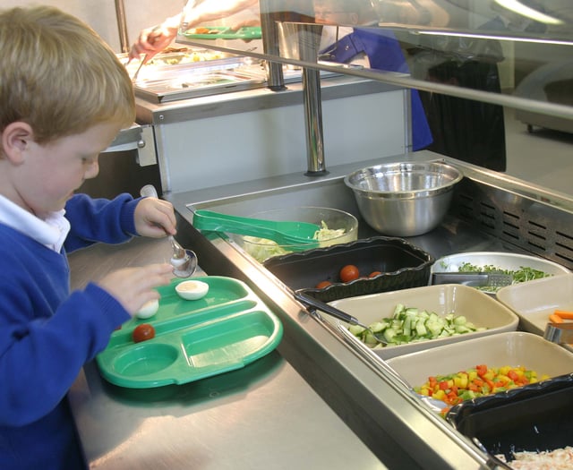 Child 'endured afternoon of hypoglycemia due to wrong dinner info'