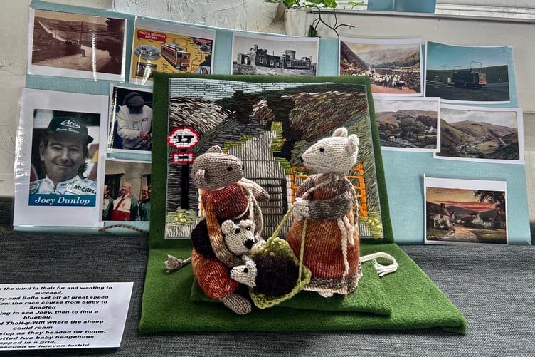 'The Mountain' display at the Jurby Mice Exhibition