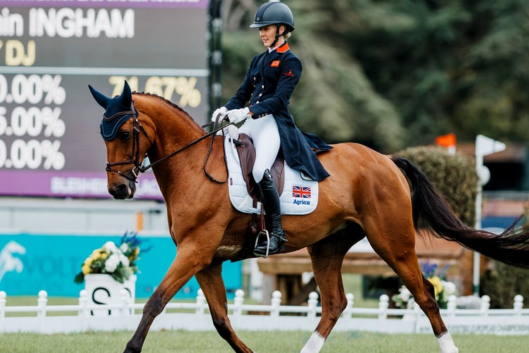Yasmin Ingham and Rehy DJ during the dressage phase at the weekend's FEI Eventing European Championship at Blenheim Palace (Photo: Tilly Berendt)