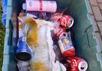 Plea made to 'think carefully' after used nappy found in recycling bin