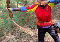 NFAS National Championships silver medal for Lesley Sleight