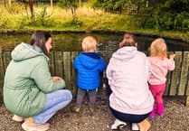 Little Explorers programme to continue with 'Stormy Seas and Seals'