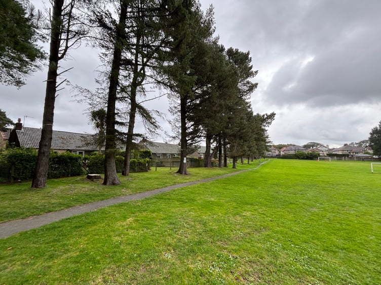 Ballanard Road Playing Field Trees