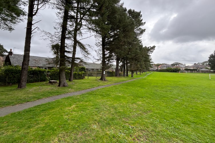 Ballanard Road Playing Field Trees