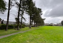 Residents ‘fairly suspicious’ of council move to cut 39 trees in Isle of Man park