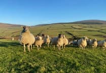 New website for Manx National Farmers Union thanks to grant