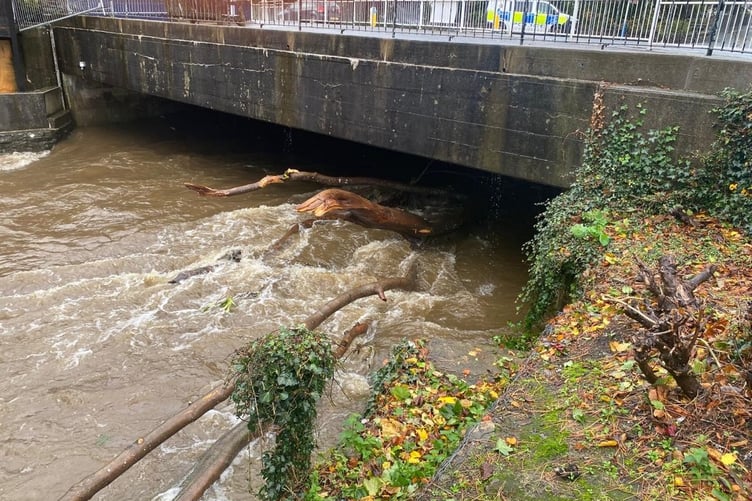 A large tree stuck under a bridge at Quarterbridge in Douglas
