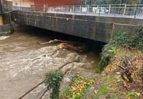 Full impact of Storm Amy outlined as trees fall on a car and house
