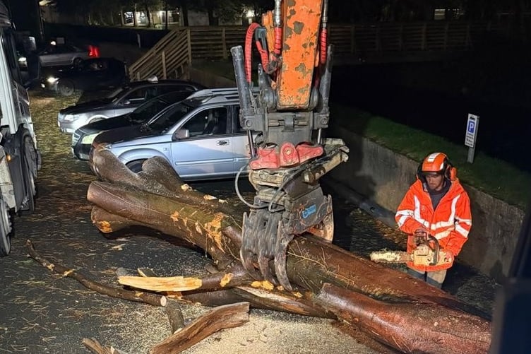 Department of Infrastructure staff remove the tree stuck under the bridge at Quarterbrdge in Douglas