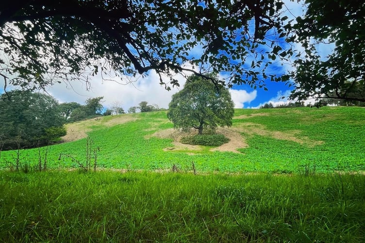 The water sprite Nikkesen would lead his victims on a moonlit dance around the surrounding meadows