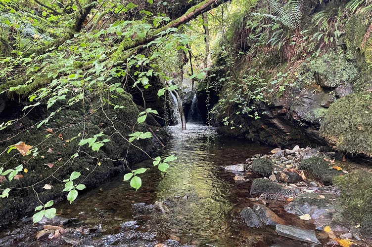 Nikkesen's Pool is a foreboding place but lies on private land