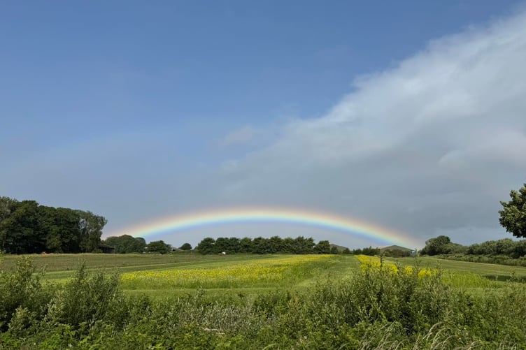 The Pumpkin Field in Sulby