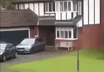 Isle of Man Meats refers itself for independent review after bull shot dead by police