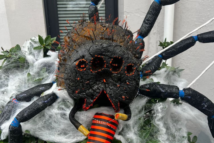 Arachnophobes beware - a spider standing sentry near the doorway