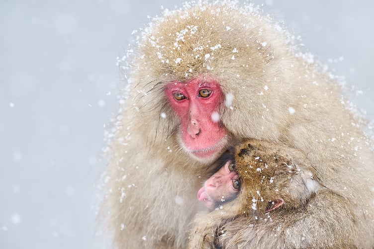 Work by Philippe Ricordel