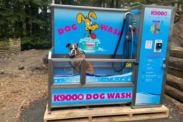Emma's boxer enjoying the dog wash