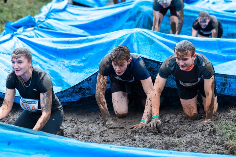 Crawling through the mud
