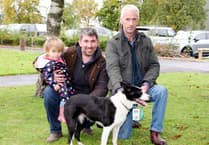 Isle of Man farmer among buyers as handler breaks record at UK sheepdog sale