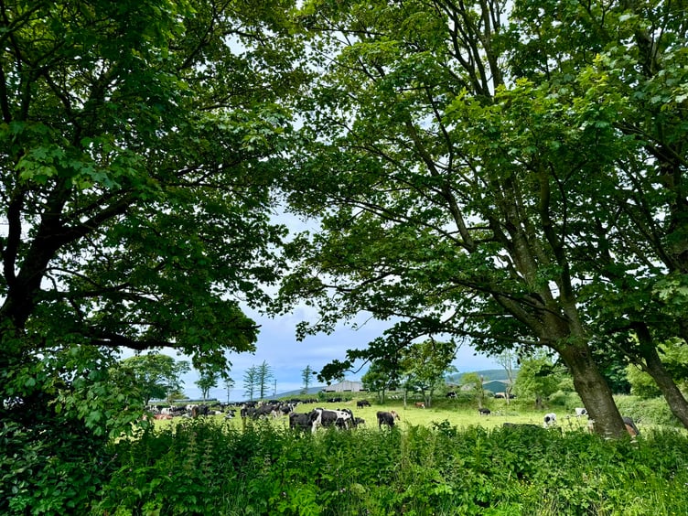 Strong agriculture is a large part of the strategy